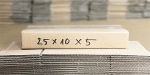 Thùng carton 25x10x5cm